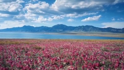 对老年群体友好！湖北开行首趟“普惠型”旅游专列