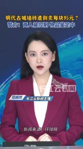 山西警方通报“网售明古城墙砖”