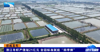 权威发布 | 潜江冬虾产值破21亿元 全链标准赋能“四季鲜”