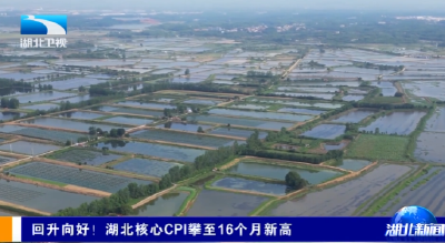 回升向好！湖北核心CPI攀至16个月新高
