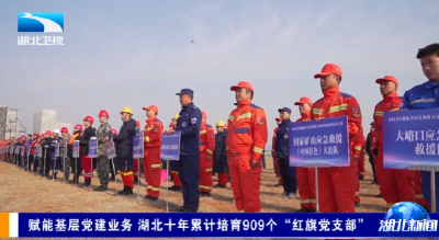赋能基层党建业务 湖北十年累计培育909个“红旗党支部”