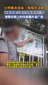 媒体曝光天津一鸟市公然贩卖国家保护鸟类，商贩甚至把摊位摆在禁售宣传栏旁