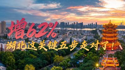 增6.2%，湖北这关键五步走对了！