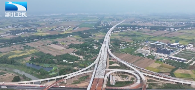 湖北向上·半年经济观察 | 专家观点：需求带动跨越式增长