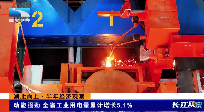 湖北向上·半年经济观察 | 动能强劲 全省工业用电量累计增长5.1%