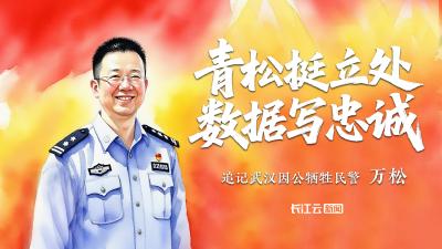 生命最后一刻仍在改报告，他的 “数据天网” 永远亮着