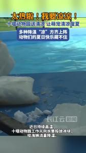 十堰动物园送清凉 让萌宠清凉度夏