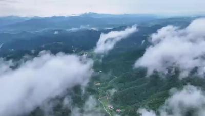 丹江口国学课堂：山水之间 静心习艺