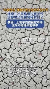 “中原粮仓”豫南平原正经历罕见干旱