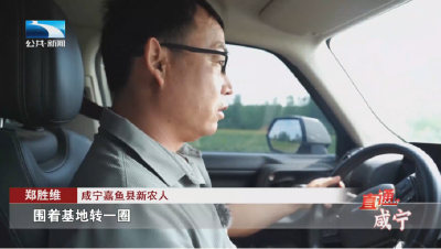“菜”二代郑胜维的蔬菜梦