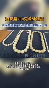 查获超700克象牙制品 武汉邮局海关近三年查获最大一批