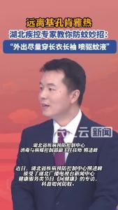 远离基孔肯雅热，湖北疾控专家教你防蚊妙招
