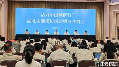 “活力中国调研行”走进湖北 全国媒体聚焦支点建设创新实践