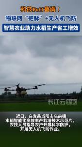 智慧农业助力水稻生产省工增效