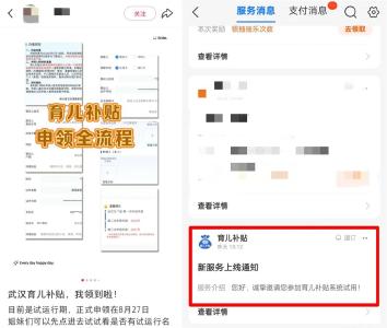 即将发放！育儿补贴27日开始申领