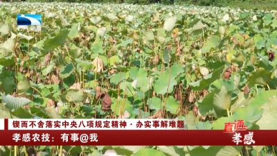 孝感农技：有事@我