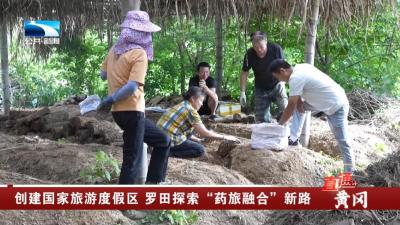 创建国家旅游度假区 罗田探索“药旅融合”新路