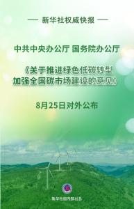 事关全国碳市场建设，中办、国办重磅文件对外公布
