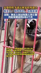 大型烈性犬逃出狗笼咬死路人，狗主人因过失致人死亡罪获刑6年6个月