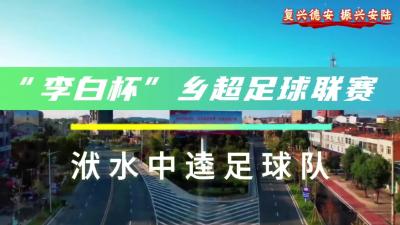 洑水中逵足球队