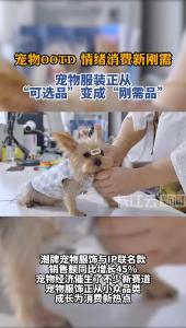 宠物服饰“穿”出大市场 “情绪消费”催热新赛道