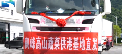 鹤峰蔬菜首次直供香港 智慧海关助力高效通关