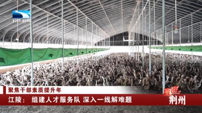 江陵： 组建人才服务队 深入一线解难题