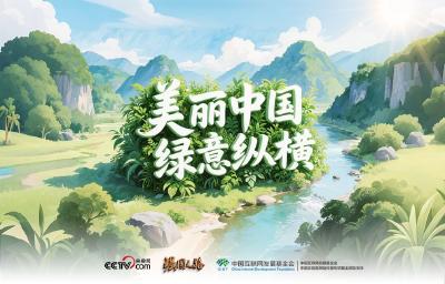 强国之路｜美丽中国 绿意纵横