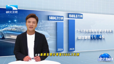 长江指数 | 新能源汽车下乡 县域“蓝海”有多香？