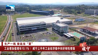 工业增加值增长10.1% ！咸宁上半年工业经济稳中向好韧性增强