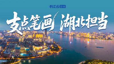 SVG | 拆解“支点”密码，解锁湖北担当！