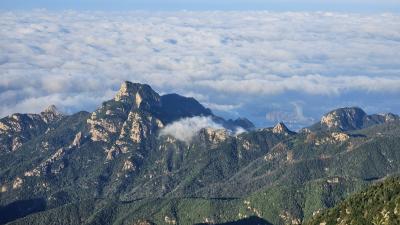 泰山景区紧急提醒：8月15日夜间起，泰山凌晨时段闭园