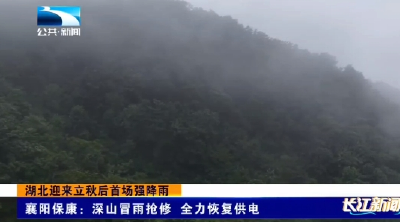 襄阳保康：深山冒雨抢修 全力恢复供电