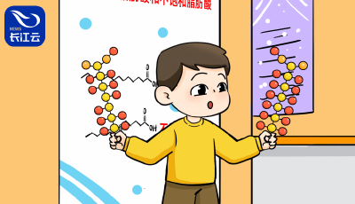 小谷带你游——探寻食用油里的小奥秘