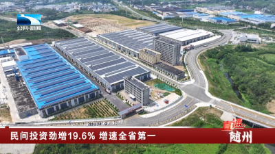 随州：民间投资劲增19.6% 增速全省第一