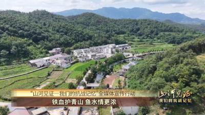 【山河见证一我们的抗战记忆】铁血护青山 鱼水情更浓