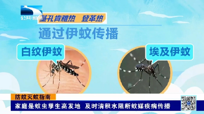 防蚊灭蚊指南 | 家庭是蚊虫孳生高发地 及时清积水阻断蚊媒疾病传播