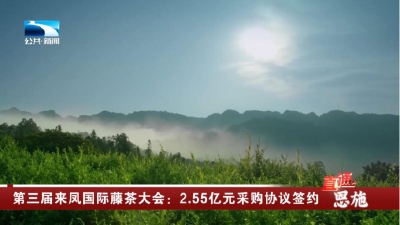 第三届来凤国际藤茶大会：2.55亿元采购协议签约