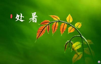 处暑 | 嚣张的热浪总算有了个头