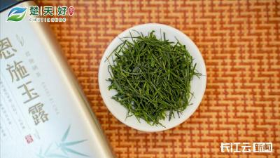 恩施玉露：一盏湖北深山蒸青茶，征服全球味蕾