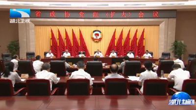 省政协召开党组会议 孙伟主持并讲话