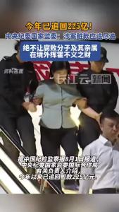 今年已追回225亿！中央纪委国家监委：绝不让腐败分子及其亲属在境外挥霍不义之财