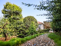 图集|盆景扮靓庭院 巾帼巧绘新景