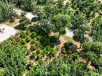 图集|盆景扮靓庭院 巾帼巧绘新景
