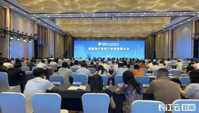 楚商向新同行 回乡共建支点丨盛夏重庆，楚商回乡热情似火！