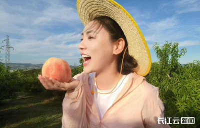 美女与“野兽”轮番上阵 广水“桃王”迎来最强代言