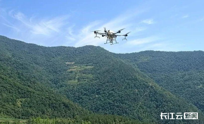 神农架红坪林场启动华山松飞防治理