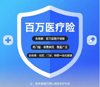 《懂一点金融》| 低收入群体优先选择的三款保险