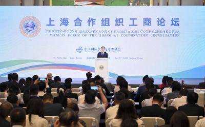 共同擘画上合组织发展新蓝图——各方共同期盼上海合作组织天津峰会举行