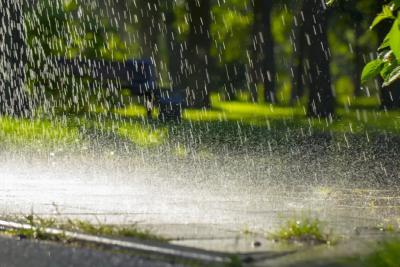 今晨湖北多地连发高温预警 别急！暴雨、大暴雨来了，降温马上到